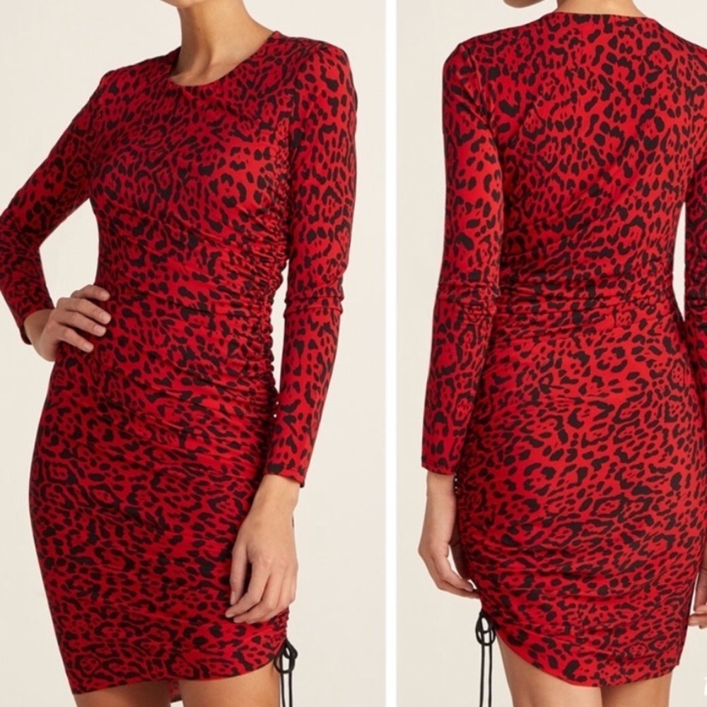 Bailey 44 Leopard Mini